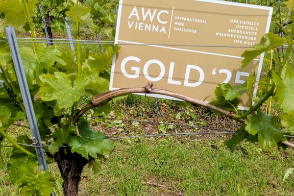 AWC Gold Zertifikat