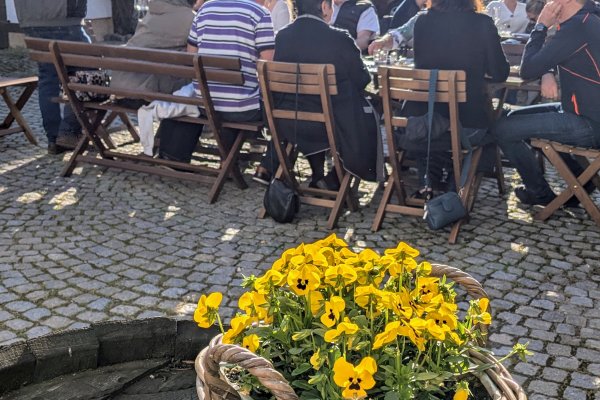 beim Weinfrühling