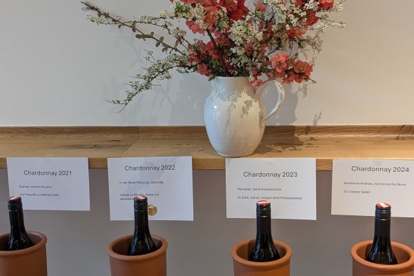 Weinfrühling 26